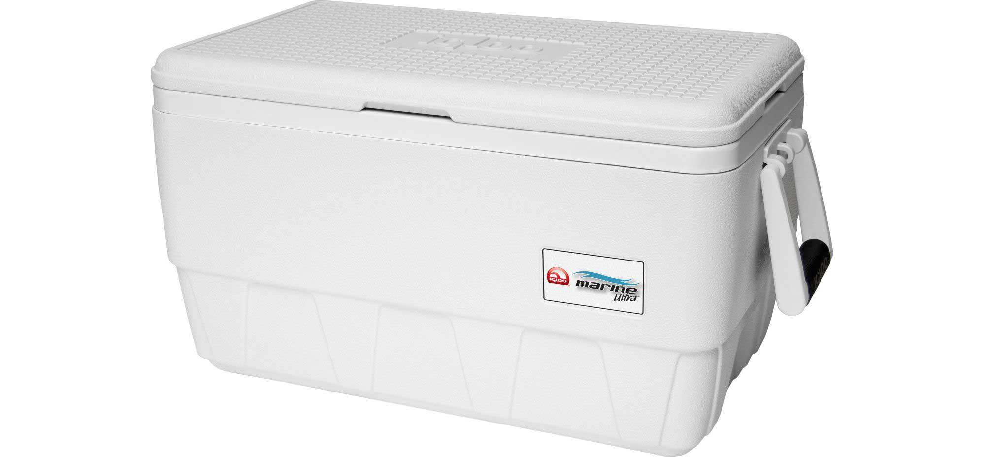 Igloo Marine Ultra 36qt Cooler Lightbulb Rentals