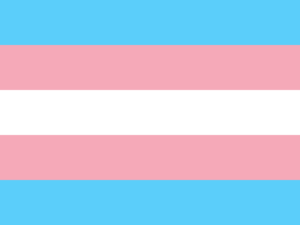 lgbtqa_flag_Transgender